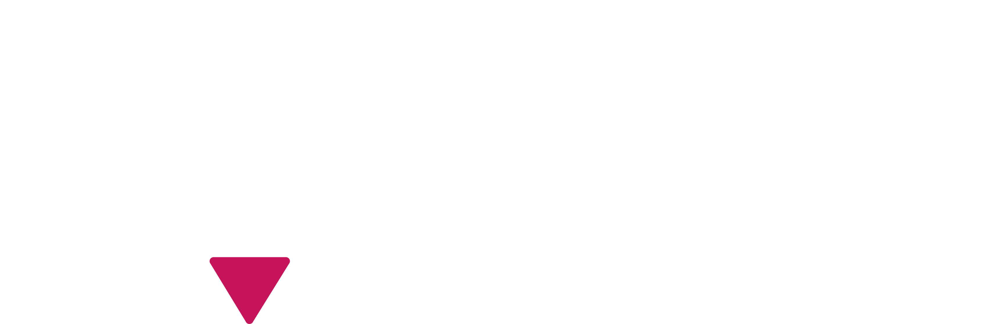 dark logo