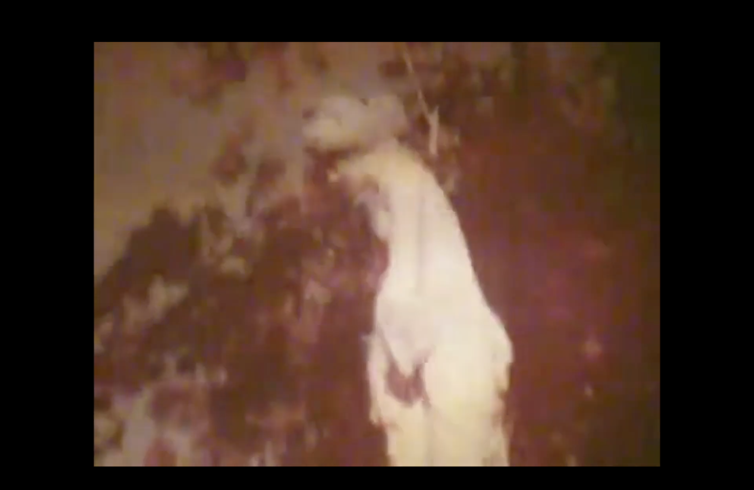 Captura de pantalla 2025-11-17 a la(s) 23.08.42